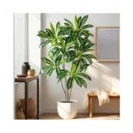 Verified image for post 307212