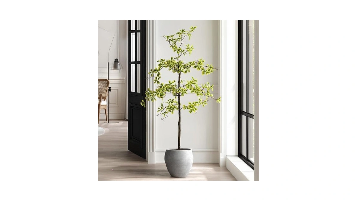 Verified image for post 307336