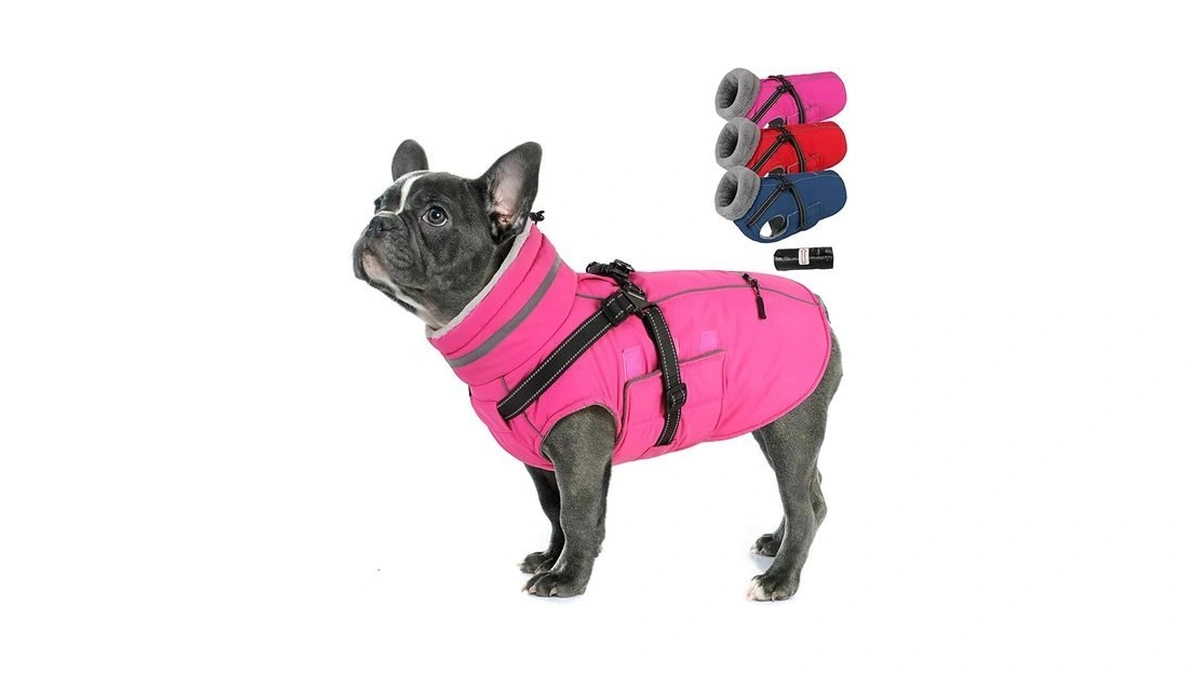 Verified image for post 307554