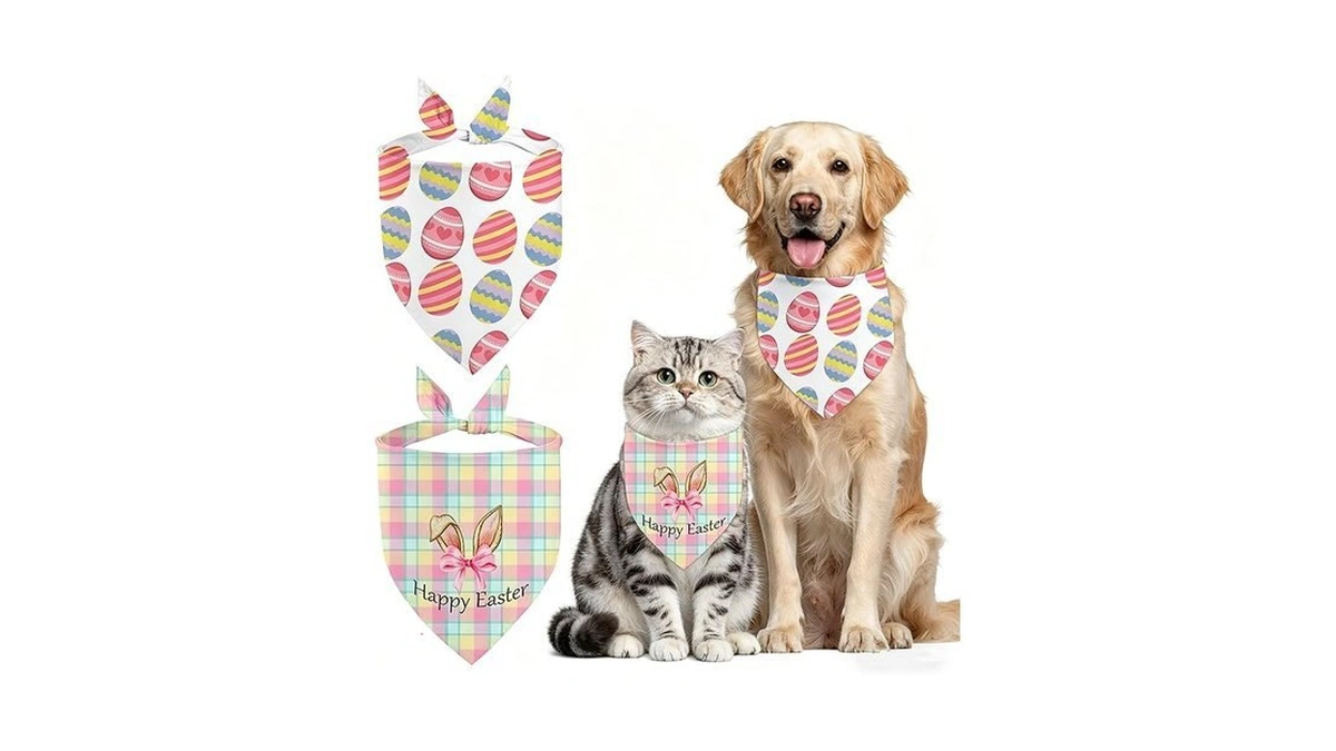 Verified image for post 307622