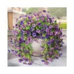 Verified image for post 307676