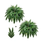 Verified image for post 307708