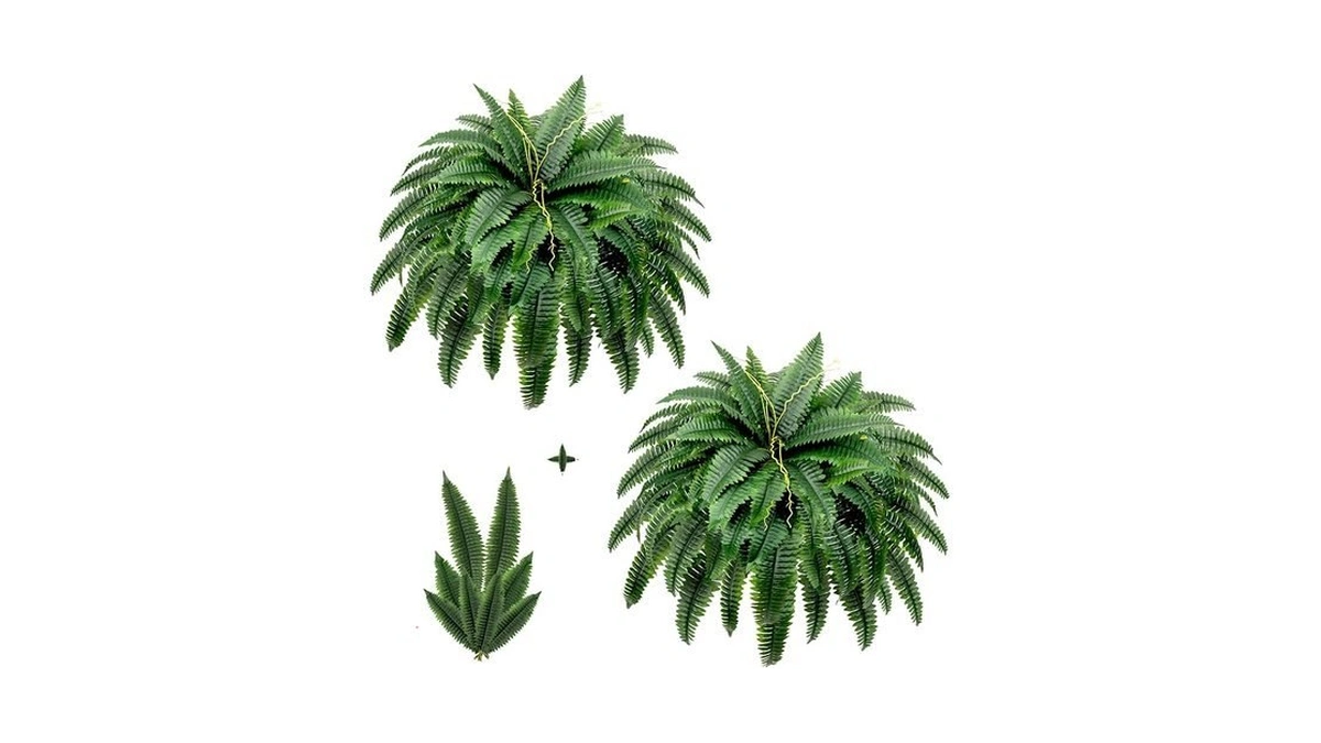 Verified image for post 307708