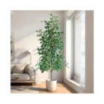 Verified image for post 307720