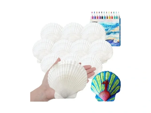 Lmminbz 10 Pcs Large Scallop Shells 4-5inch White… Code