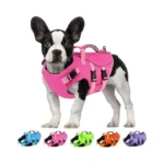 Verified image for post 308122