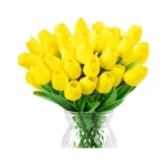 Verified image for post 308218