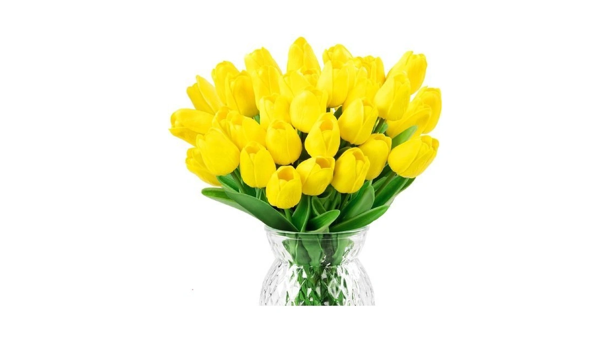 Verified image for post 308218