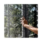 Verified image for post 308612