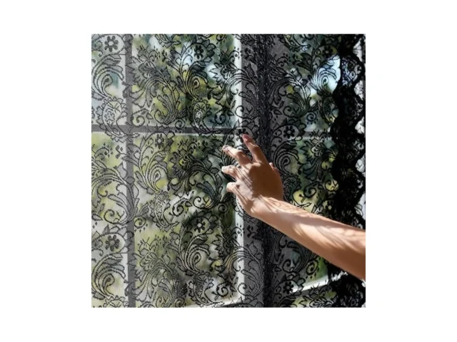 Draphelle 2 Panels Vintage Black Lace Curtains 45… Code