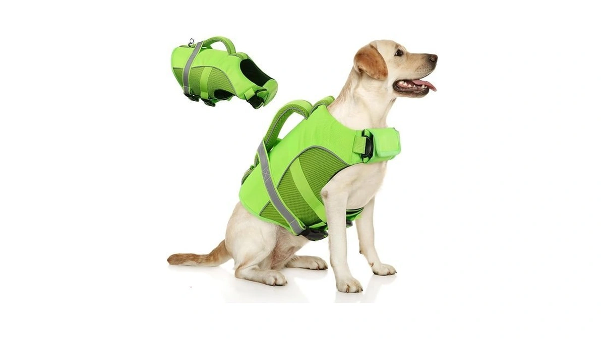 Verified image for post 308628