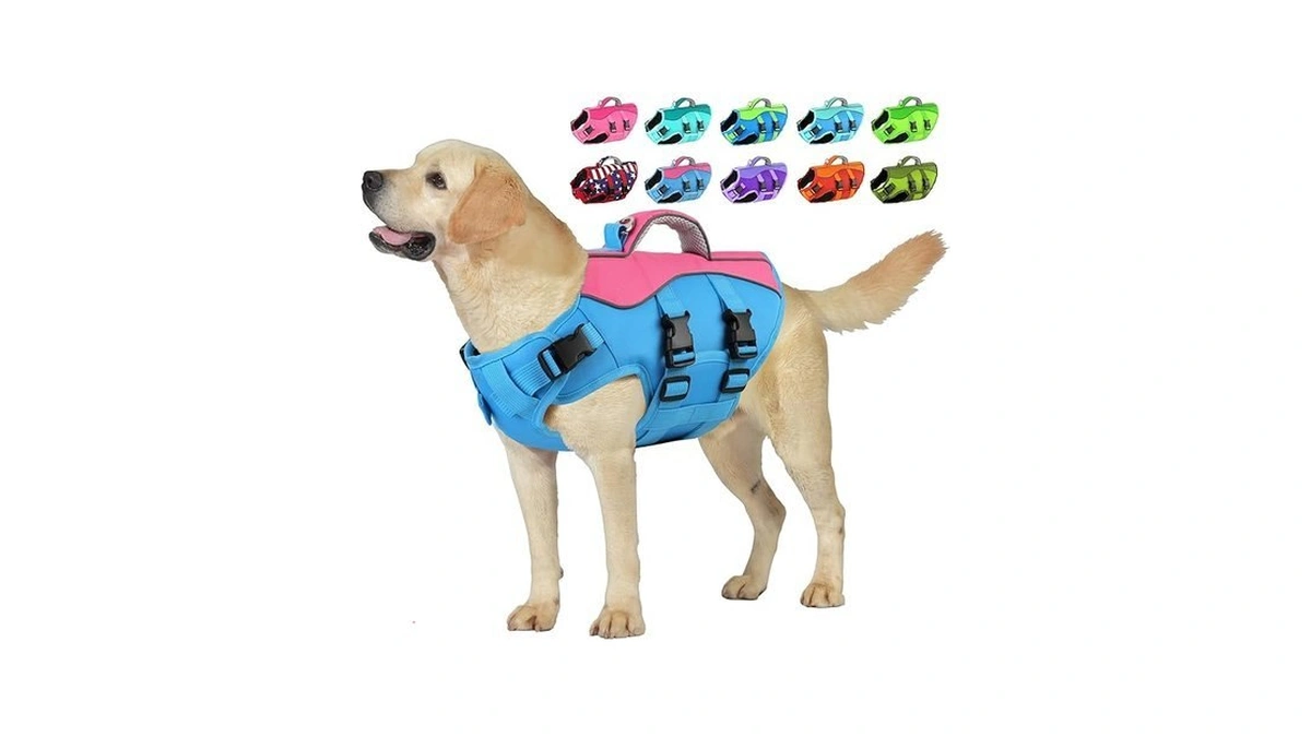 Verified image for post 308692