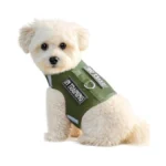 Verified image for post 308932