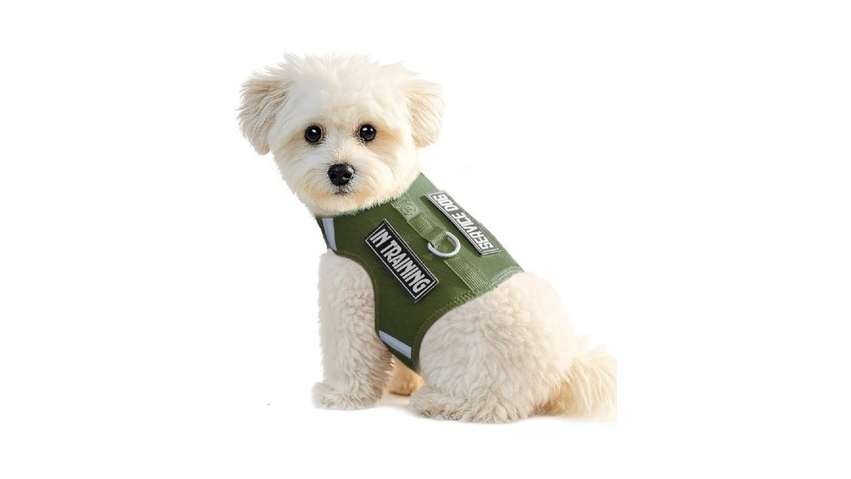 Verified image for post 308932