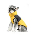 Verified image for post 309120