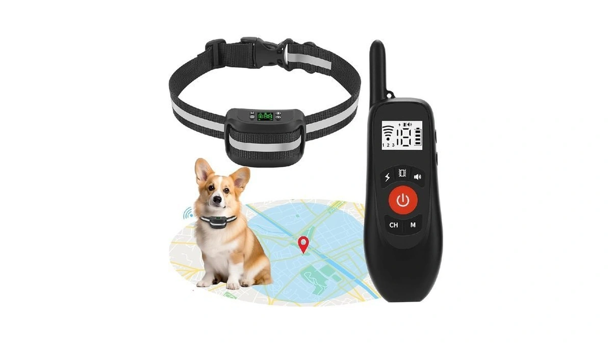 Verified image for post 309527