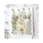 Verified image for post 309761