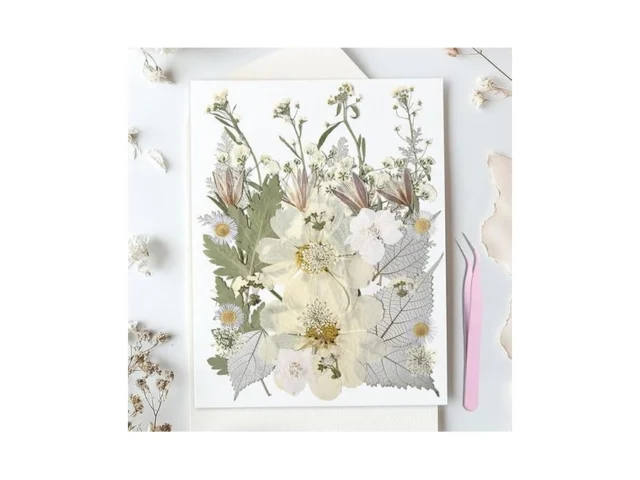 Yuboo 36pcs White Dried Flowers For Resin Bulk Real… Code