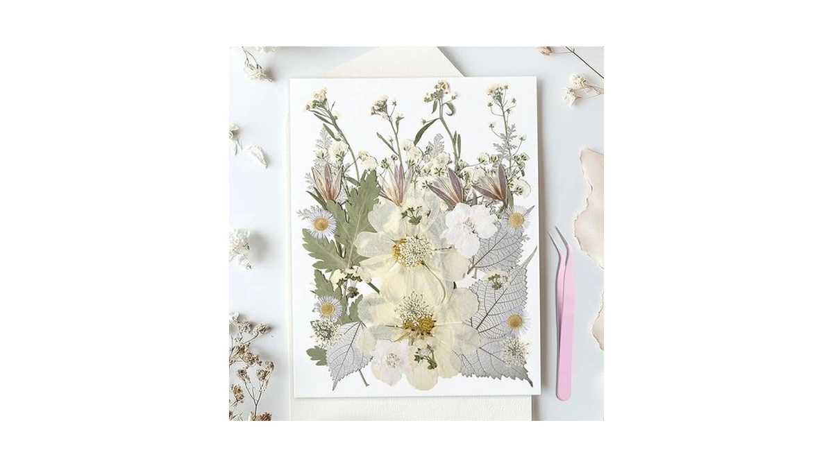 Verified image for post 309761