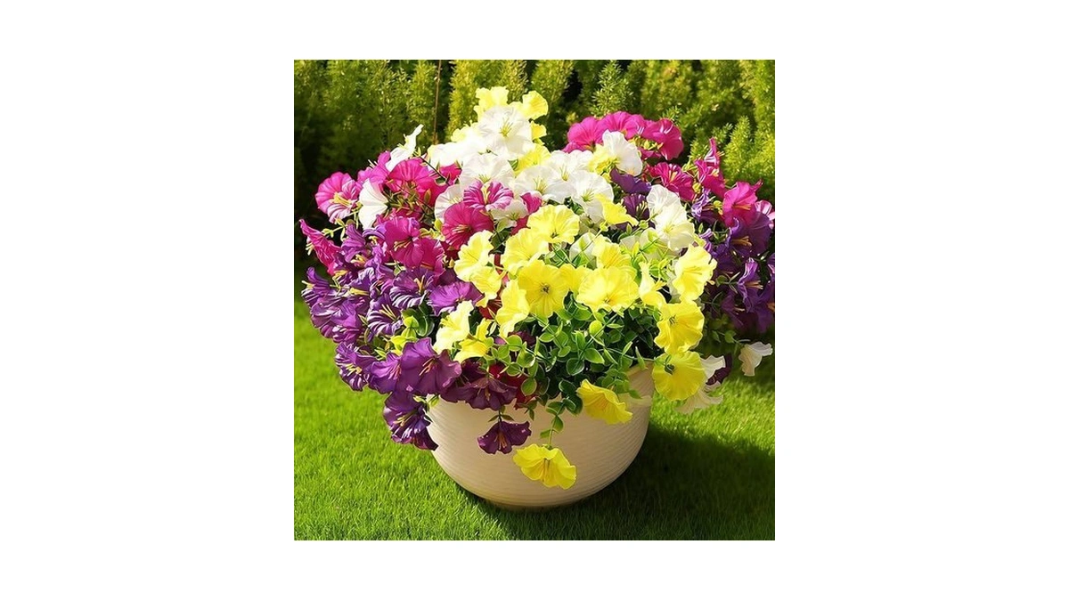 Verified image for post 310079