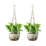 Verified image for post 310253