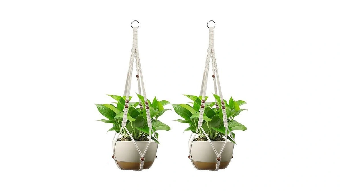 Verified image for post 310253