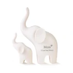 Verified image for post 310345