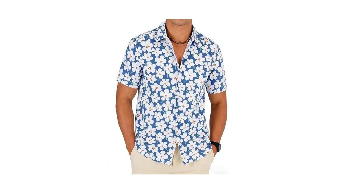 Verified image for post 310447