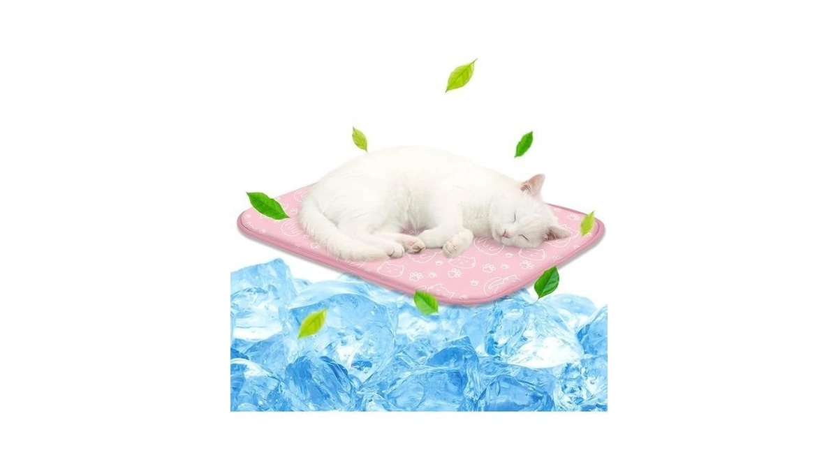 Verified image for post 310465