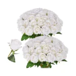 Verified image for post 310469