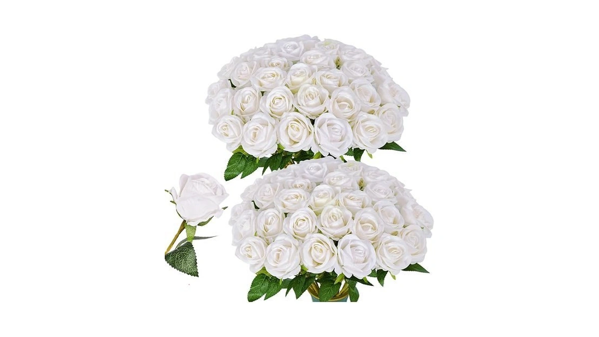 Verified image for post 310469