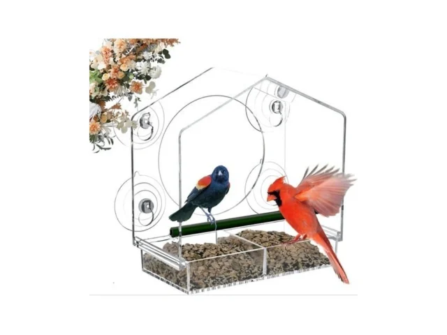 Jarkyfine Window Bird Feeder – 4 Strong 2 36… Code