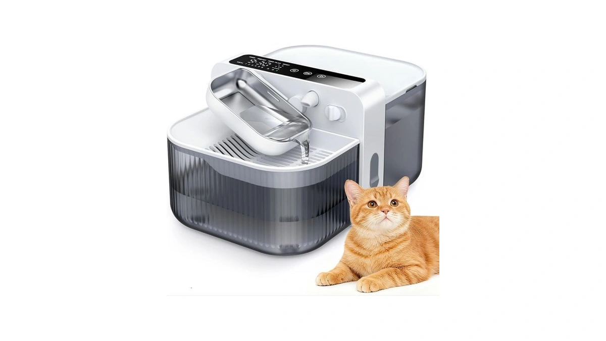 Verified image for post 310629