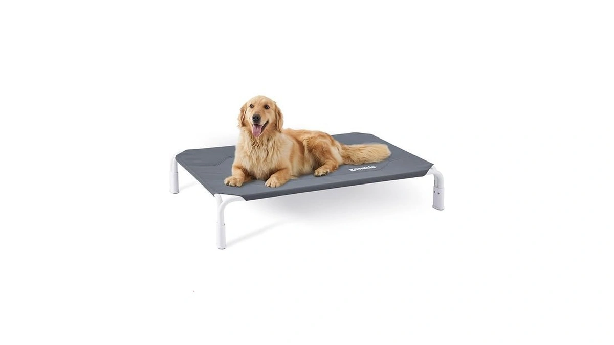 Verified image for post 310653