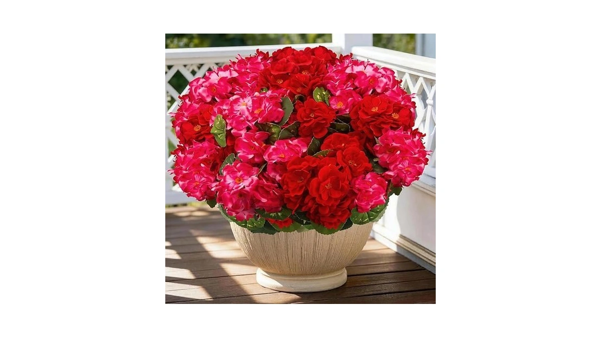 Verified image for post 310681