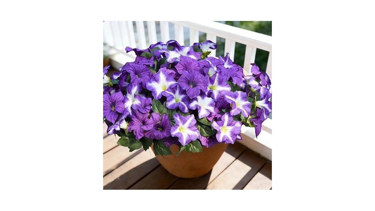 Verified image for post 310693