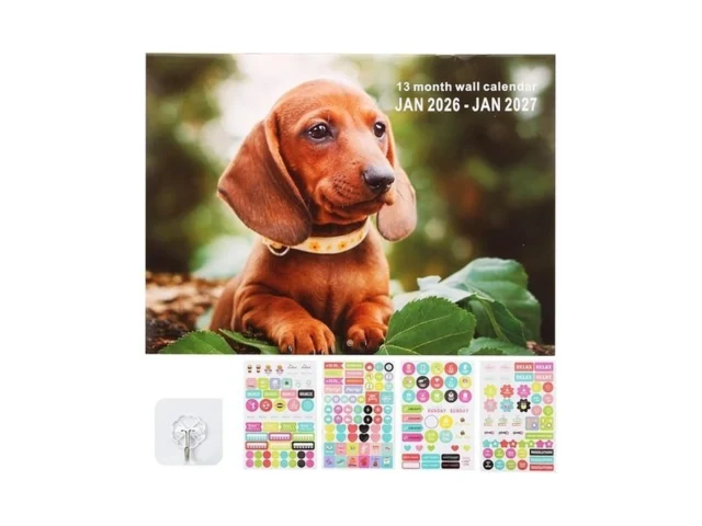 2026 Wall Calendar 12 Month Jan 2026-dec 2026 16×11… Code