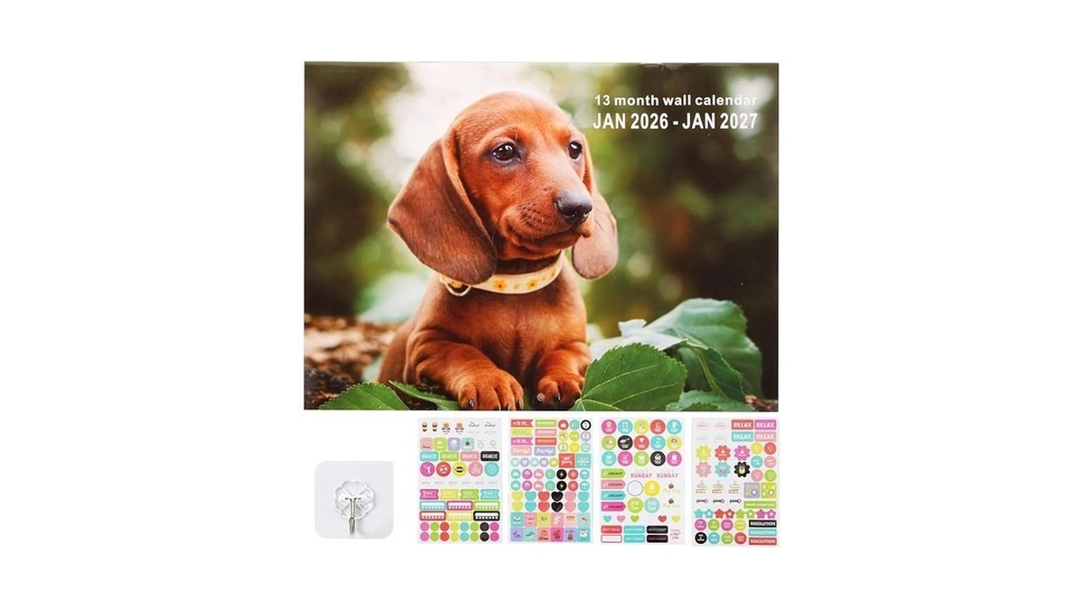 Verified image for post 310741