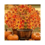 Verified image for post 310759