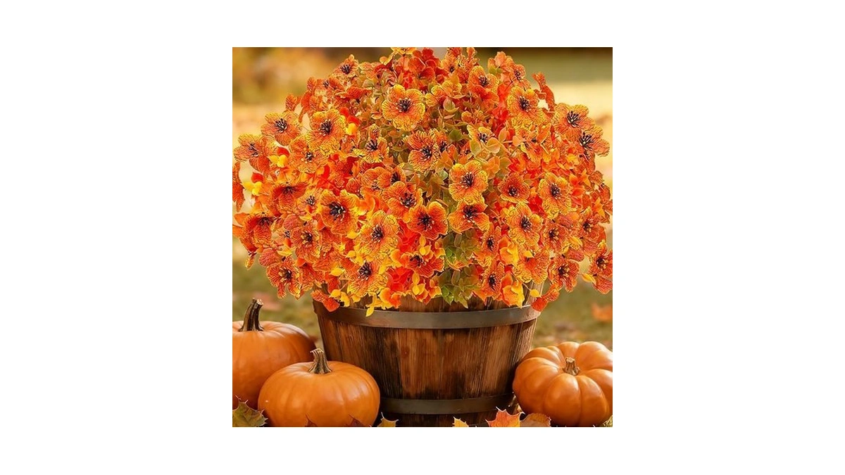 Verified image for post 310759