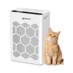 Verified image for post 310953