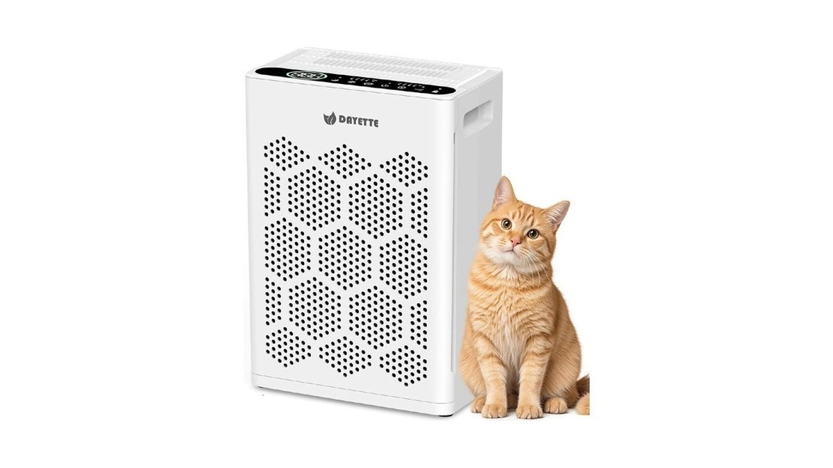 Verified image for post 310953