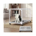 Verified image for post 310993