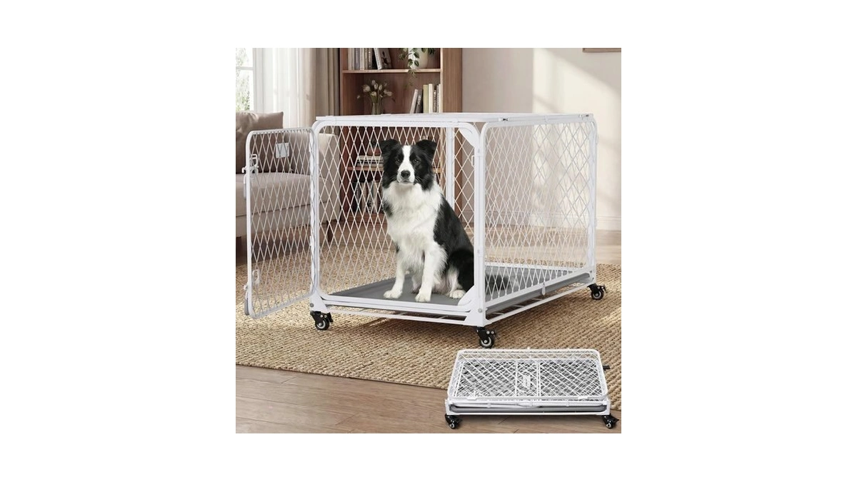 Verified image for post 310993