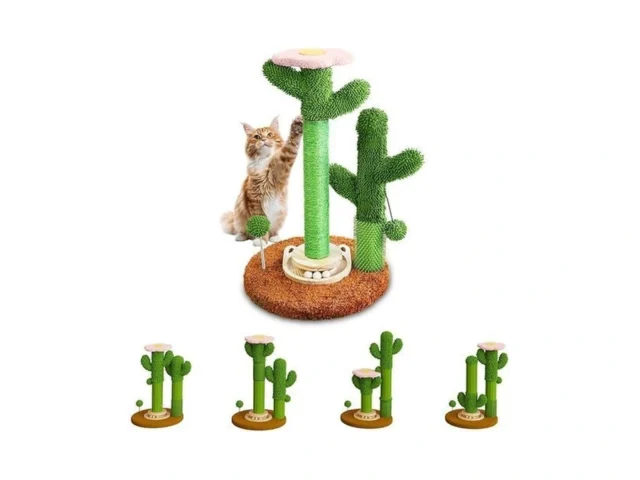 2026 New Diy 9 Installation Styles 42 Cactus Cat… Code