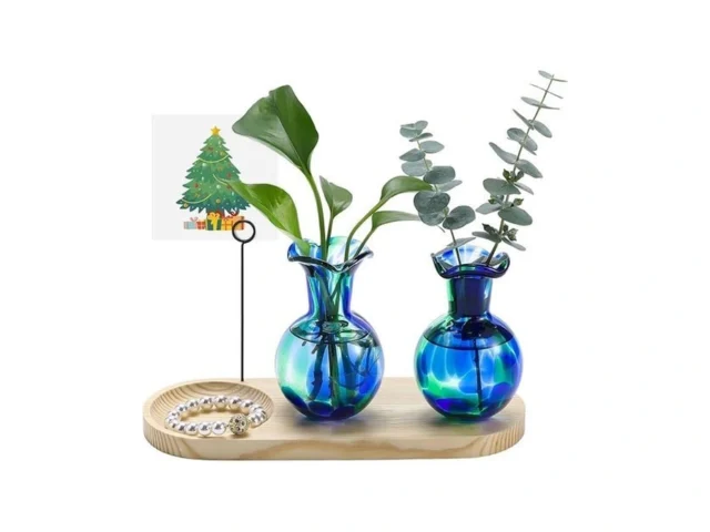 Pozfun Hand Blown Glass Plant Propagation Stations… Code