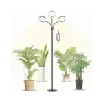 Verified image for post 311099