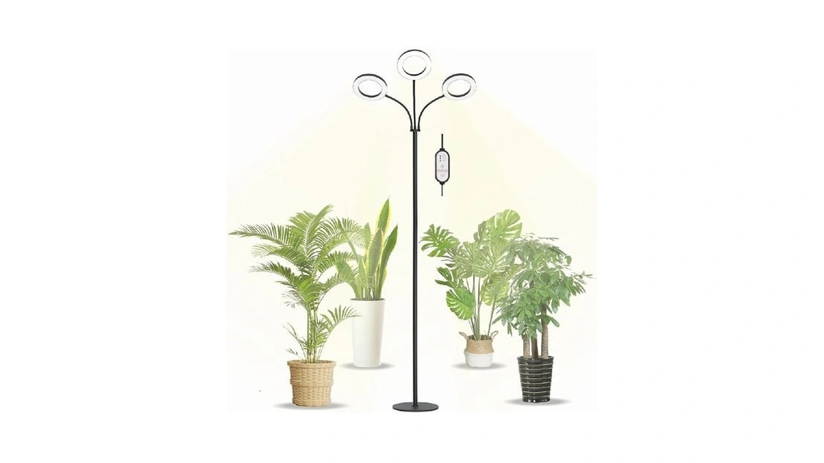 Verified image for post 311099