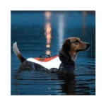 Verified image for post 311123