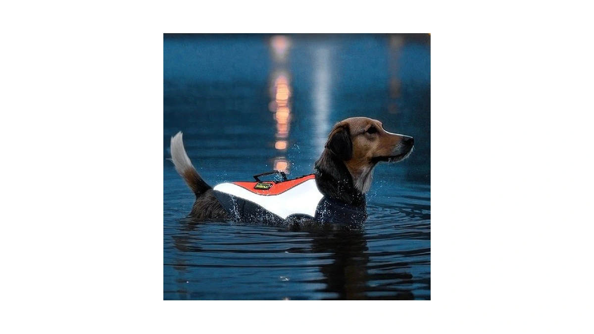 Verified image for post 311123